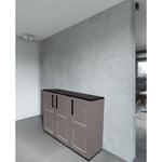 Dmora Armoire polyvalente extérieure ou intérieure, plateau mobile 3 portes et 1 étagère de polypropylène, 100% Made in Italy, 102x37h84 cm, couleur