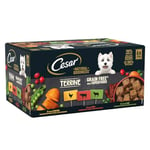 Cesar Natural Goodness - Wet Dog Food - for Adult Dogs - Mixed Selection in Loaf - 6 x 400 g