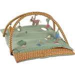 Sterntaler- Arche de Jeu Emmily pour bébé avec Fonctions âne Emmilius, 9122106, Vert Clair, S