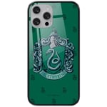 ERT GROUP mobile phone case for Apple Iphone 11 original and officially Licensed Harry Potter pattern 088 made of hardened glass, optimally adapted to the shape of the mobile phone, protective cover