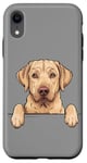 iPhone XR Cute Yellow Lab Peeking Puppy Funny Labrador Dog Lover Case