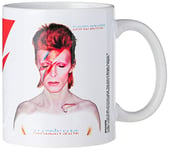 Pyramid International AFMG24689 David Bowie (Aladdin Sane) Official Boxed Ceramic Coffee/Tea Mug, Paper, Multi-Colour, 40 x 59 x 1.3 cm