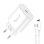 Foneng Foneng EU39 Type-C Quick Charger on iPhone