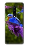 Bluebird of Happiness Blue Bird Case Cover For OnePlus 7 Pro