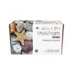 Flights of Fancy About the Seashore Beaches Kids Educational Science Nature Kit