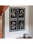 One.World Botanical Wood Framed Print & Mount, Set of 4, 64 x 50cm, Black/Multi