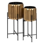 BigBuy Garden Set of Planters Gold Iron 33 x 33 x 66 cm (2 Units)