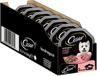 Cesar Pâtée pour Chien Gamme Landküche - Veau et Dinde - Lot de 7 Paquets de 2 boîtes de 150 g chacune