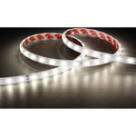 E-Cell Eco 50M Strip 24V IP65 4,8W/930 480lm/m B:8mm H:100mm