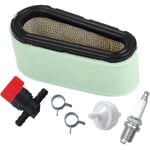 496894 Luftfilter och förfilter kit för Briggs & Stratton 12,5-17 hk 494768 gräsklippare