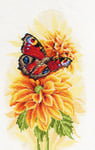 Vervaco Point De Croix Compté Kit Tableau Complet Set PAPILLON PAON FLOTTANT De Broderie Loisir Créatif Maison Decoration Cadeau DIY ca. 22 x 33 cm Counted Cross Stitch Embroidery