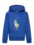 Big Pony Fleece Hoodie Tops Sweat-shirts & Hoodies Hoodies Blue Ralph Lauren Kids