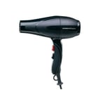 Gammapiù Sèche-Cheveux Professionnel 2001R