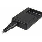 Nikon MH-63 Quick Battery Charger for EN-EL10