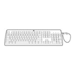 HEWLETT PACKARD ENTERPRISE USB Keyboard/Mouse Kit (English)