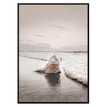 Poster Gallerix Shell On Beach