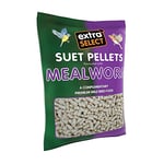 Extra Select Mealworm High Energy Suet Pellets Wild Bird Food - Protein, Fat Rich Year-Round Feeding - 3 kg Refill