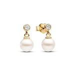 Pandora Boucles d'oreilles intemporelles 263153C01 Boucles d'oreilles perles