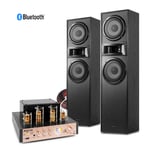 Floor Standing Speaker HiFi Tower System with Valve Amplifier SHF700B Black