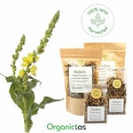 Mullein Flower dried Herbal Tea Organic & Wild Harvested Verbascum Thapsus 100g