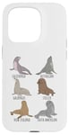 iPhone 15 Pro Different Type of Sea Lions Breed Collection,Cute Sea Lions Case