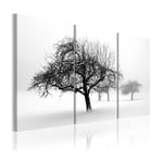 Tavla Arkiio Trees Submerged In White