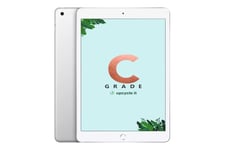 [Uppcykla den] Apple iPad 2020 (Begagnad kvalitet) 128GB, 8:e generationen, SILVER - utan sladdar/adapter.