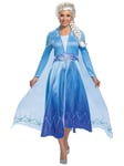 Elsa Deluxe Disney Frozen 2 Snow Queen Movie Book Week Adult Womens Costume S