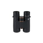 Celestron Regal 8x42 ED Flat Field Binoculars