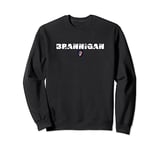 BRANNIGAN Name Text Irish Birthday or sports Ireland Sweatshirt