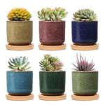 T4U 6cm Pots de Plantes en Céramique Zisha avec Plateau en Bambou - Paquet de 6, Pot pour Succulent Cactus Fleurs Récipient Jardinière