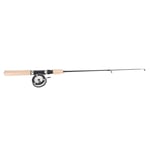 Ice Fishing Rod Reel Combo 75cm Winter Fishing Pole For Fathers Sons CU