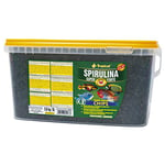 TROPICAL Super SPIRULINA Forte Chips 5L / 2,6kg - pour Poissons aux Besoins nutritifs très exigeants, sous Forme de jetons