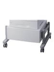 Xerox Storage Cart - printer cart