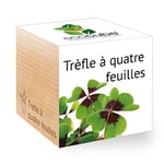 Feel Green Ecocube Trèfle À Quatre Feuilles, Idée Cadeau (100% Ecologique), Grow-Your-Own/Kit Prêt-à-Pousser, Plantes Dans Des Cubes En Bois 7.5cm, Produit En Autriche