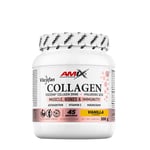 Amix - Viscofan Collagen Drink, Vanilla- 300 g