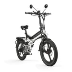 Extrbici XF590 Folding Electric Bike 500W 48V 10A Li-Battery 20 Inch Tire with Detachable Internal Battery with Front and Rear Light with Seat Frame