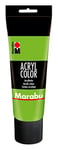 Marabu 12010025282 – Peinture Acrylique crémeuse à Base d'eau, à séchage Rapide, résistante à la lumière, imperméable, à appliquer avec Pinceau et éponge sur Toile, Papier et Bois 225 ML