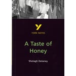 A Taste of Honey everything you need to catch up, study and prepare for and 2023 and 2024 exams and assessments (häftad, eng)