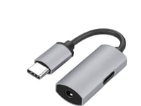 Platinet Adapter Usb-C - 3.5 Mm (44811)