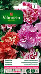 VILMORIN - Godétia Double à Fleurs d'Azalée en mélange- semences pour plantations - Fleurs Basses 40 cm annuelles - pour Un Jardin très Romantique- Floraison abondante, Roses