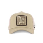 Casquette Homme & Femme Coyote, Casquette Trucker, Looney Tunes, Sans Déformation et Coupe décontractée, Beige, Noir, Taille TU