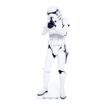 Star Wars Cutouts Stormtrooper Cardboard Cutout