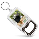 Acrylic Bottle Opener Keyring  - Cute Kittens Black Tabby Ginger Cat  #24573