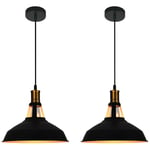 Suspension Luminaire Industrielle 2PCS Rétro Lustre Lampe pour Bar Café