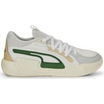 Baskets basses Puma  Chaussures de Basketball