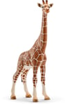 SCHLEICH - Figurine de l'univers des animaux sauvages - Girafe femelle -  - S...