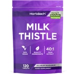 Milk Thistle Tablets | 120 Count | No Artificial Preservatives | by Horbaach