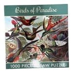 Gifted Stationary Company - Birds of Paradise - 1000pc Jigsaw