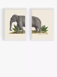 EAST END PRINTS Natural History Museum 'Elephant' Framed Print, Set of 2